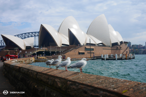 Kunjungan ke Sydney Opera House, dan momen yang damai dan harmonis ... (foto oleh penari Ben Chen)