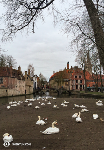 Foto-foto di Bruges. (Foto oleh proyektor Annie Li)