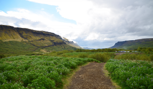 Dalam pendakian untuk melihat air terjun tertinggi kedua di Islandia, Glymur. (Bukti fotografi bahwa Islandia bukanlah suatu tanah es.)