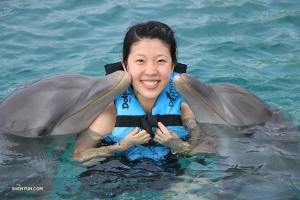 Berkenalan dengan teman-teman baru di Dolphin Cove.