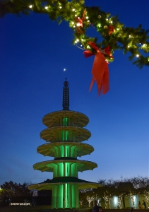 Setelah pertunjukan malam Tahun Baru, para pemain memeriksa Japantown di San Francisco.

(Foto oleh Johnny Chao)