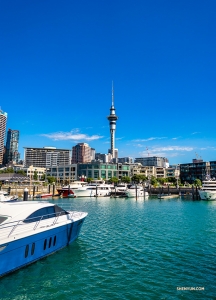 Beberapa seniman berjalan-jalan ke Dermaga Queens yang terkenal di Auckland untuk melihat-lihat. 

(Foto oleh Tony Xue)