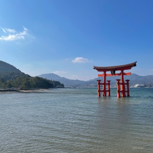 Salah satu situs paling terkenal di Jepang, O-Torii (Gerbang Grand Torii) tampak mengapung di laut saat air pasang.