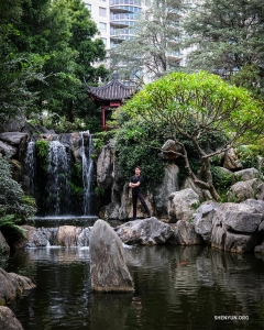 Di Sydney, Australia, para penari berjalan-jalan santai menyusuri Chinese Garden of Friendship.